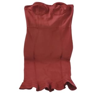 Windsor Strapless Bodycon Dress with Ruffled Hem